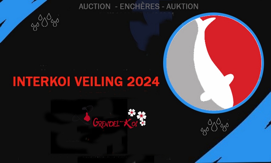 Eerste najaarsveiling 2024