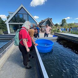 Een Druk Weekend bij Interkoi Ameide: afbeelding 5