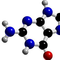 Guanine: afbeelding 2