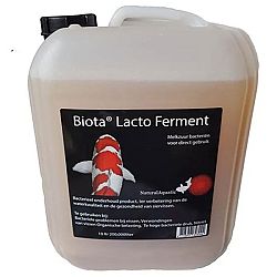 Lacto ferment: afbeelding 6